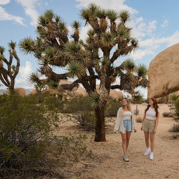 New York & California: Roadtrip Dreams & National Wonders!